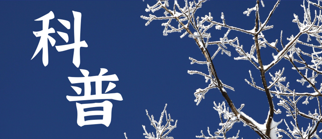 科普 | 冬季雨雪天氣?；愤\(yùn)輸車輛注意事項(xiàng)