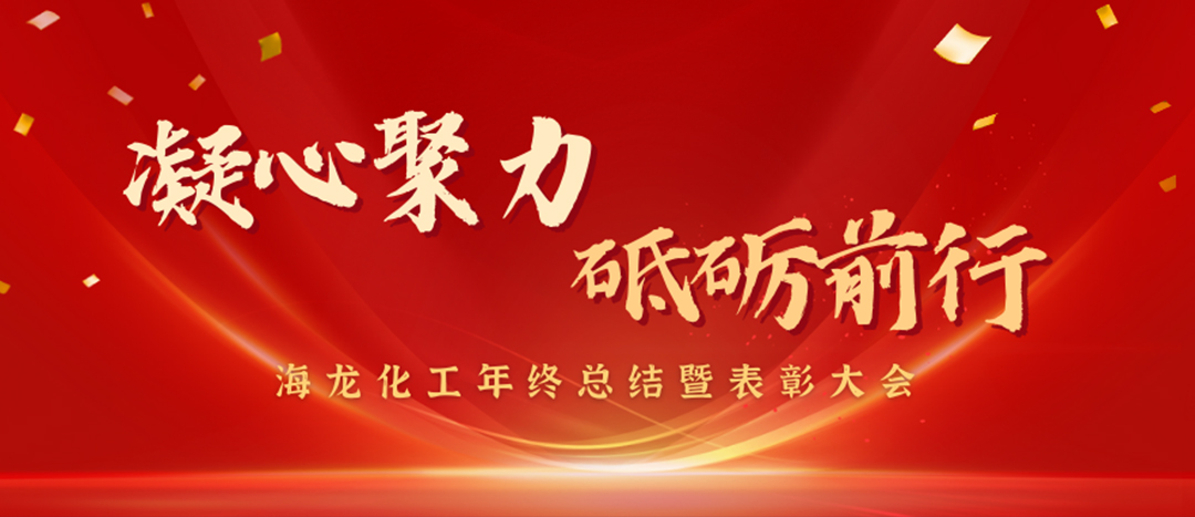 表彰 | 凝心聚力，砥礪前行，海龍化工年終總結(jié)暨表彰大會圓滿舉行